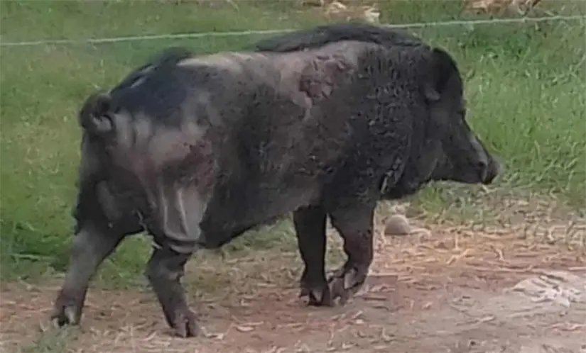 imagen recuadro imagen recuadro