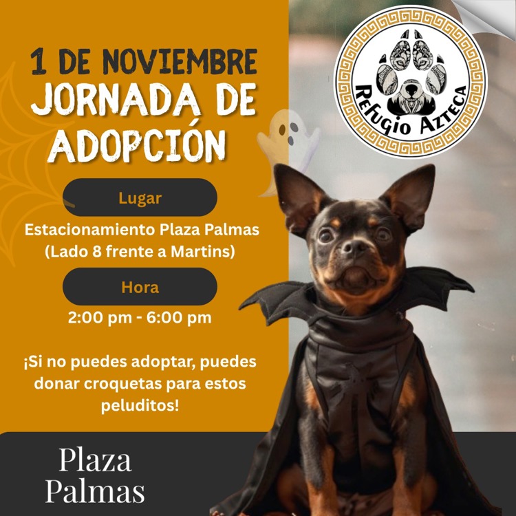 imagen-cuerpo imagen-cuerpo