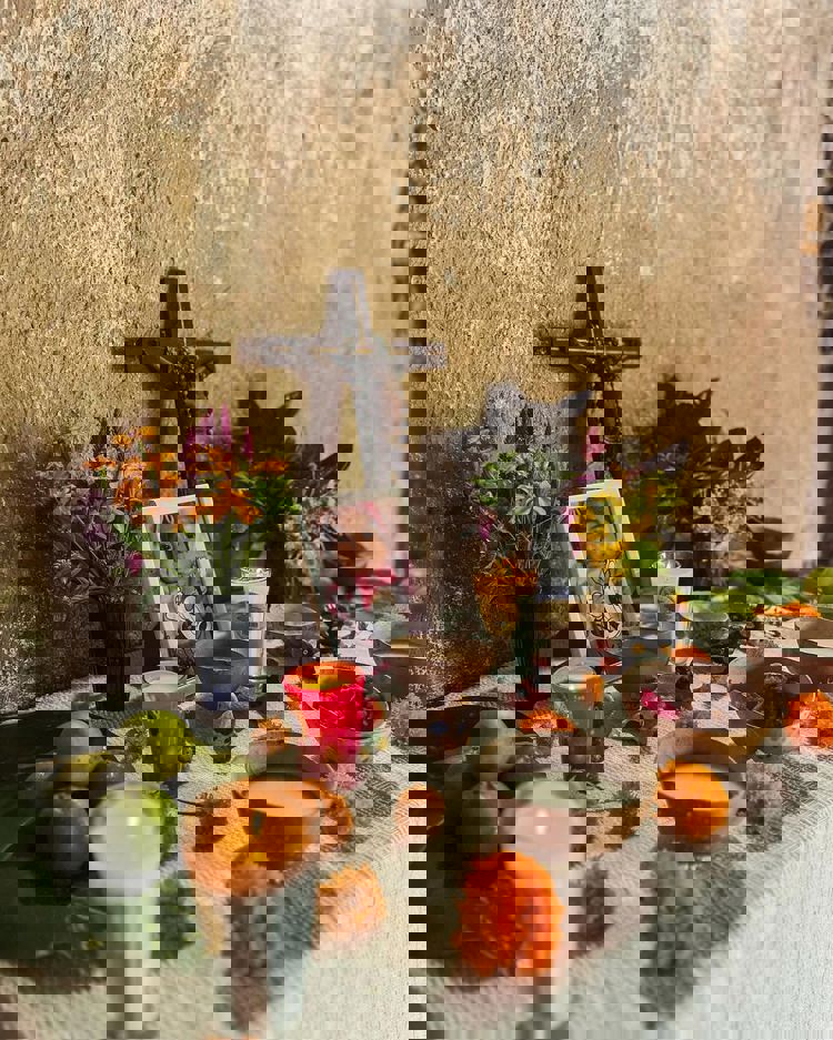 imagen-cuerpo imagen-cuerpo