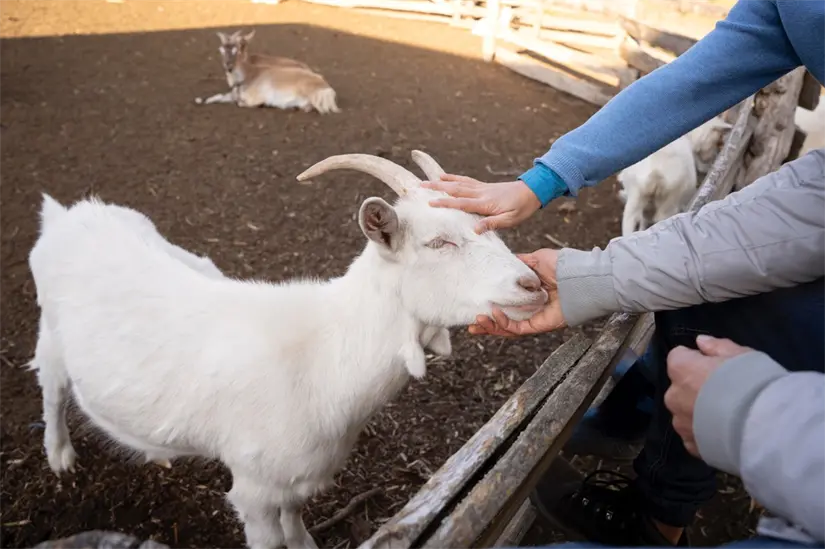 imagen recuadro imagen recuadro