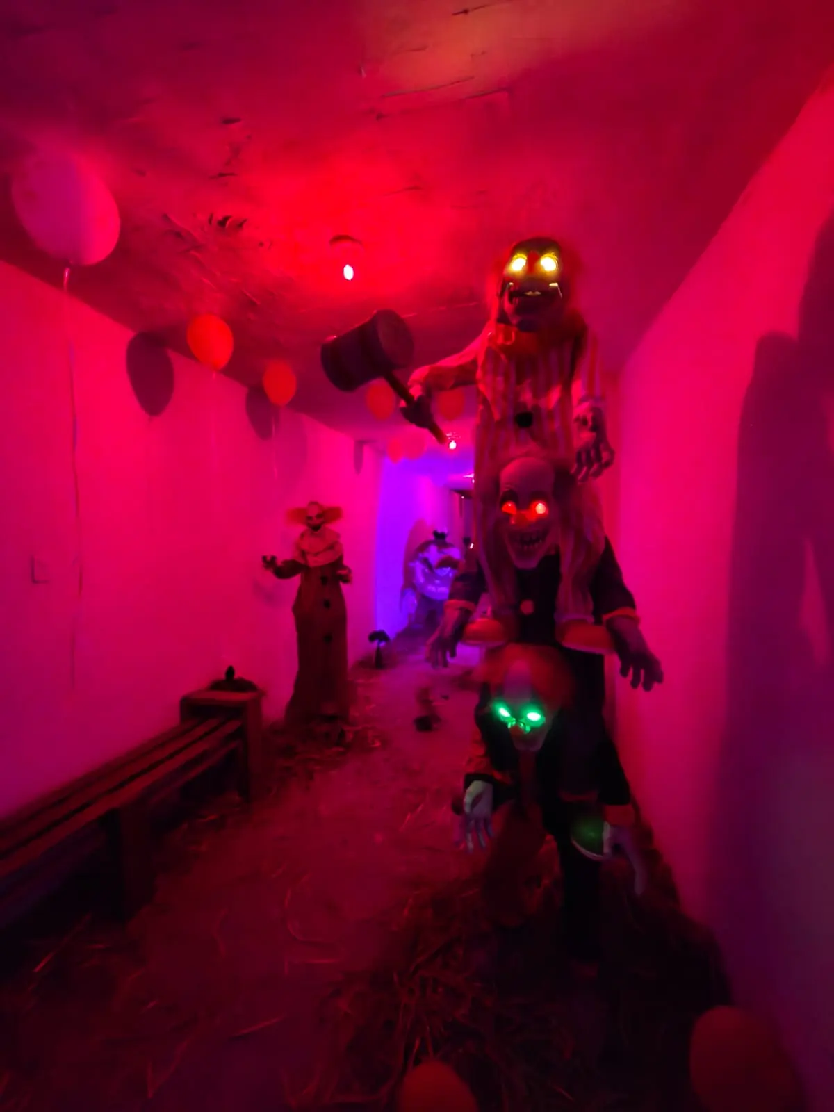 imagen recuadro La casa está ambientada hasta con 200 decoraciones de temporada diferentes./Foto: Marco Juárez