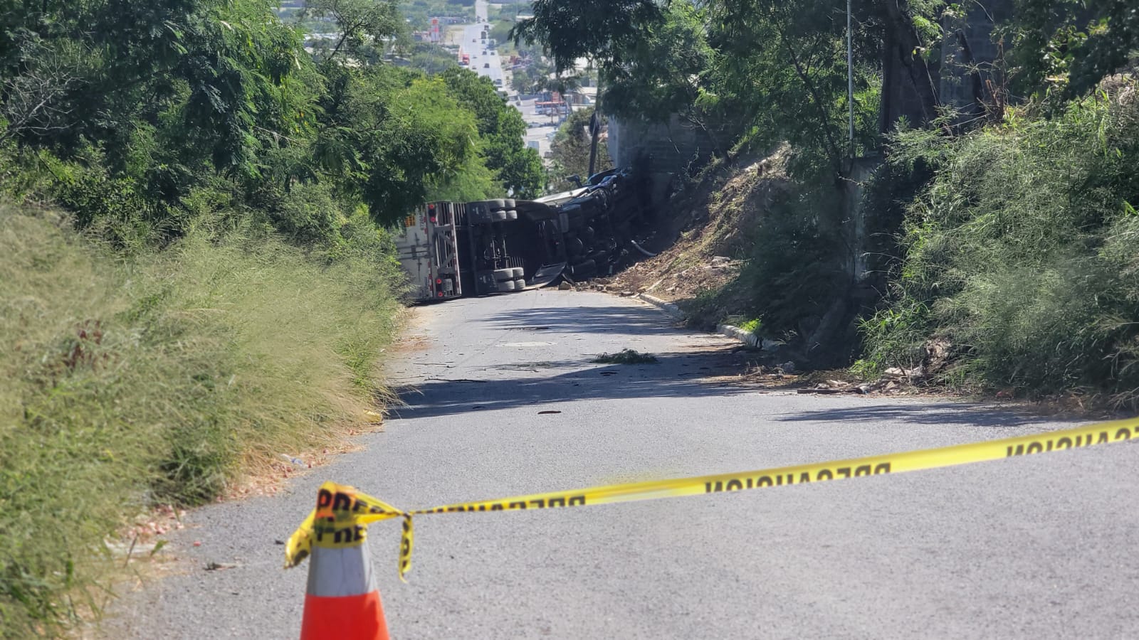 imagen-cuerpo imagen-cuerpo