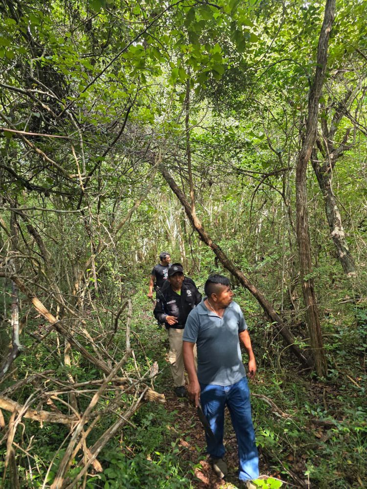 imagen-cuerpo imagen-cuerpo