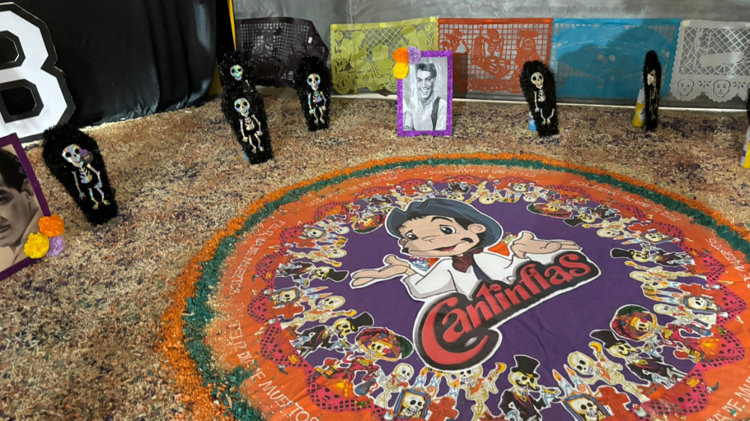 imagen-cuerpo imagen-cuerpo