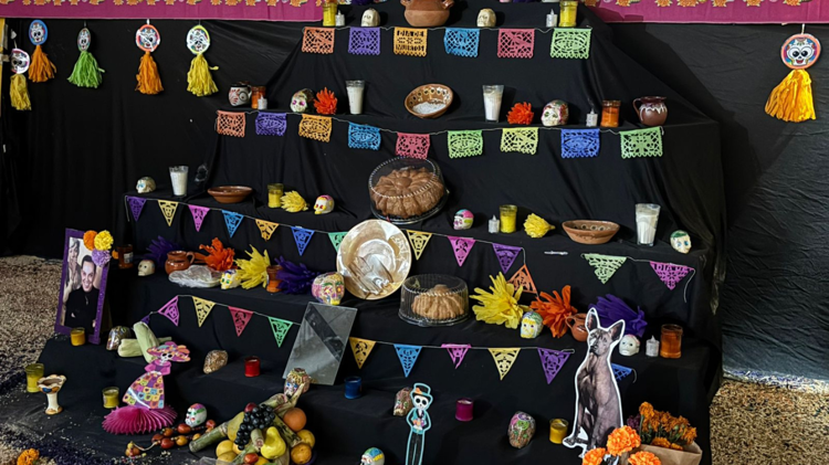 imagen-cuerpo imagen-cuerpo