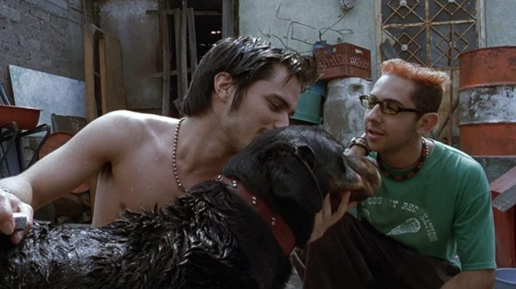 imagen-cuerpo imagen-cuerpo