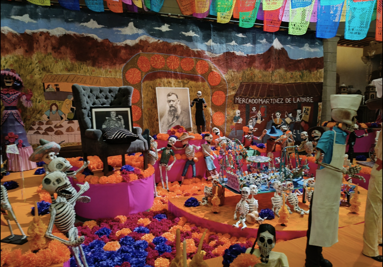 imagen-cuerpo imagen-cuerpo