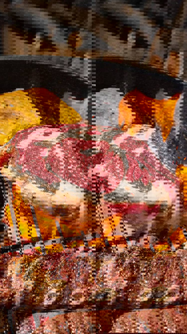 imagen-cuerpo imagen-cuerpo