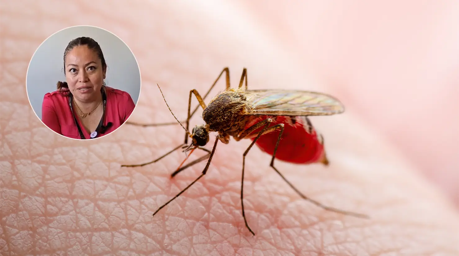 Brenda Anda Martín, responsable del Programa de Dengue de la Secretaría de Salud, informa sobre la situación en Durango. | Foto: Especial.