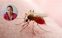 Tiene Durango varios casos de dengue en 2025 y esto dice la Secretaría de Salud al respecto Tiene Durango varios casos de dengue en 2025 y esto dice la Secretaría de Salud al respecto