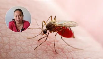 Tiene Durango varios casos de dengue en 2025 y esto dice la Secretaría de Salud al respecto