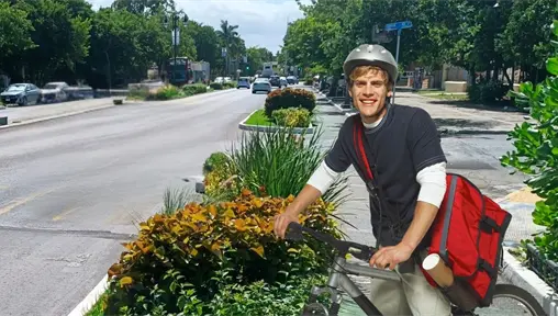 Colectivos y expertos se oponen al retiro de jardineras en Paseo de Montejo: advierten riesgos viales y convocan protesta Colectivos y expertos se oponen al retiro de jardineras en Paseo de Montejo: advierten riesgos viales y convocan protesta