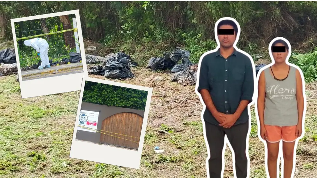 Esto es lo que se sabe del falso crematorio de mascotas desmantelado en Chetumal