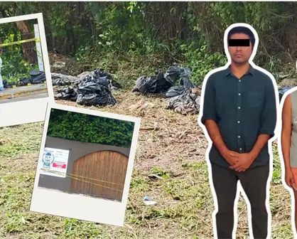 Esto es lo que se sabe del falso crematorio de mascotas desmantelado en Chetumal