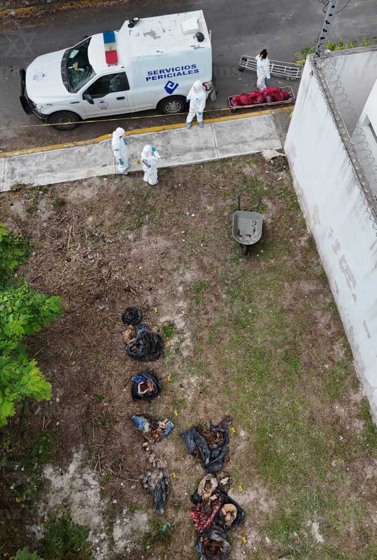 imagen-cuerpo imagen-cuerpo