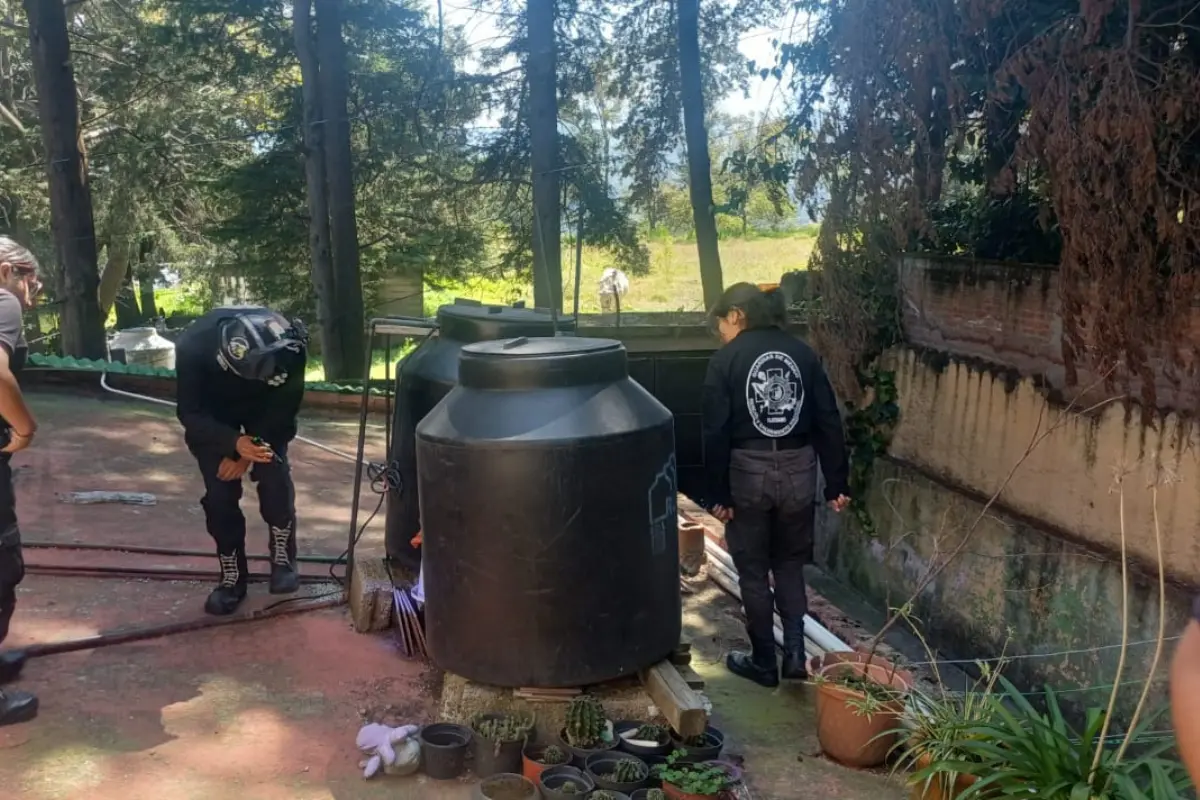 Culebra es encontrada en el Metro. Foto: Luis Antonio Alfaro