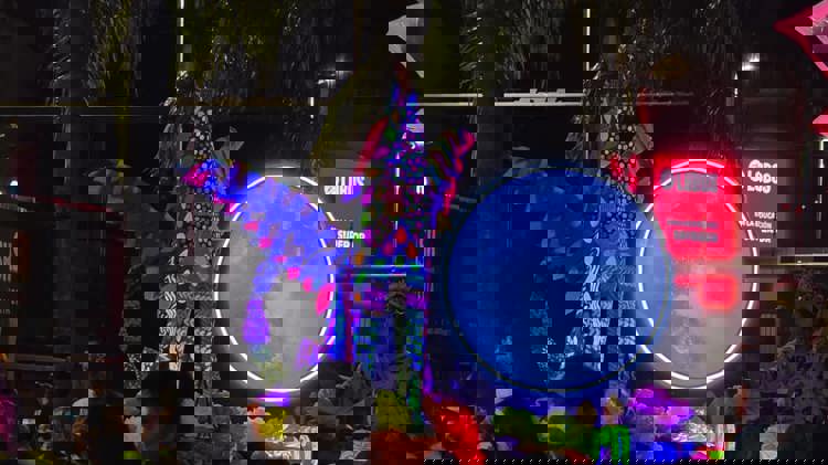 imagen-cuerpo imagen-cuerpo