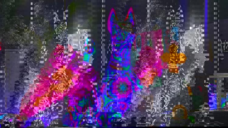 imagen-cuerpo imagen-cuerpo