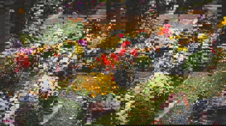 imagen-cuerpo imagen-cuerpo