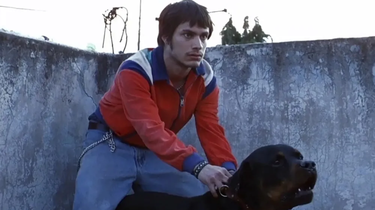 imagen-cuerpo imagen-cuerpo