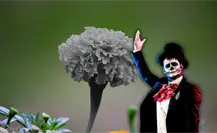 Día de Muertos 2025: esta es la flor que no puede faltar en tu altar Día de Muertos 2025: esta es la flor que no puede faltar en tu altar