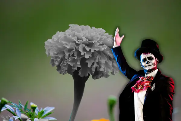 Día de Muertos 2025: esta es la flor que no puede faltar en tu altar Día de Muertos 2025: esta es la flor que no puede faltar en tu altar
