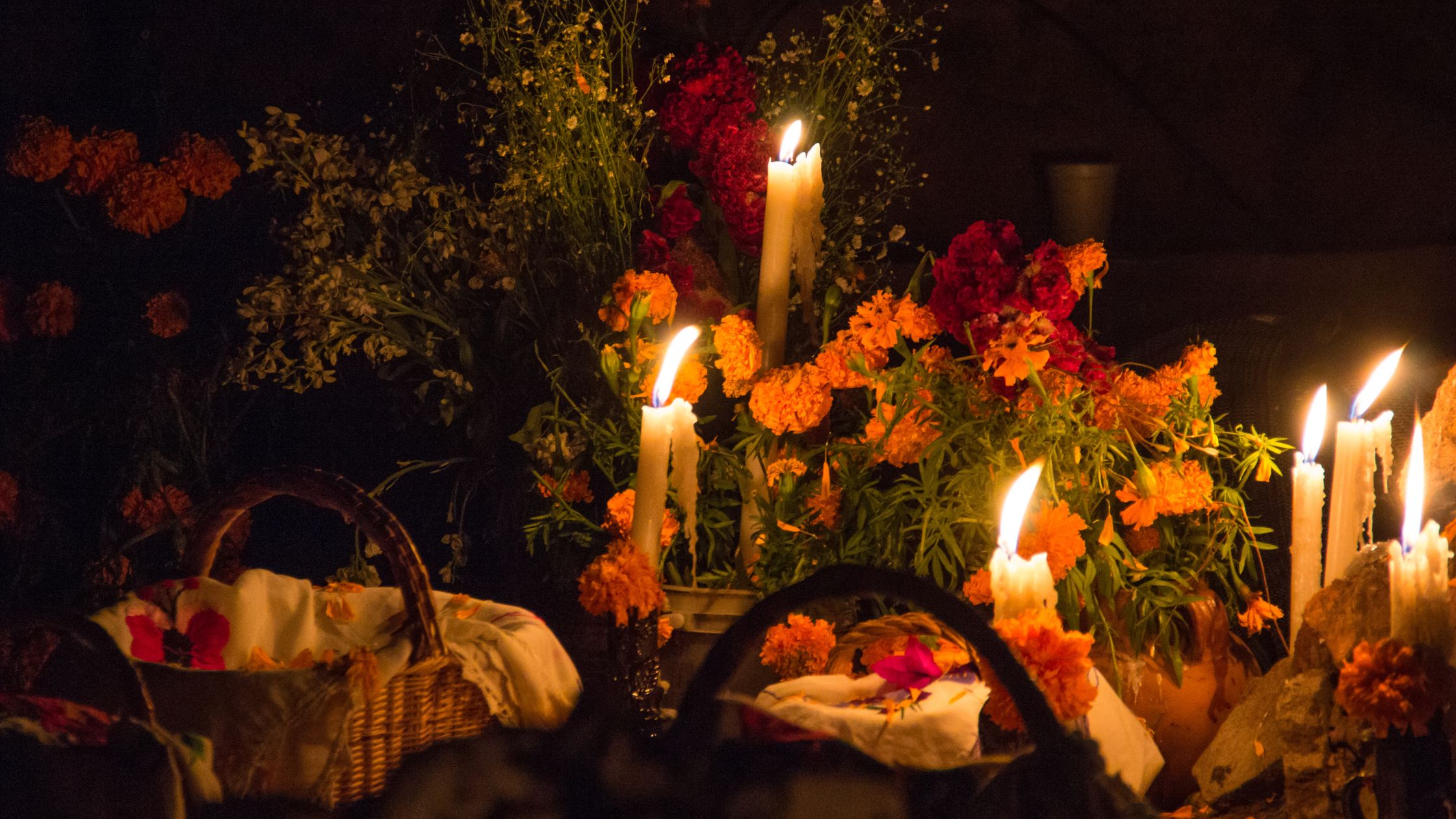 imagen-cuerpo imagen-cuerpo