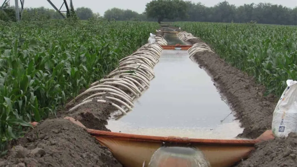 200 mil hectáreas dejarán de recibir riego por falta de agua en el norte de Tamaulipas