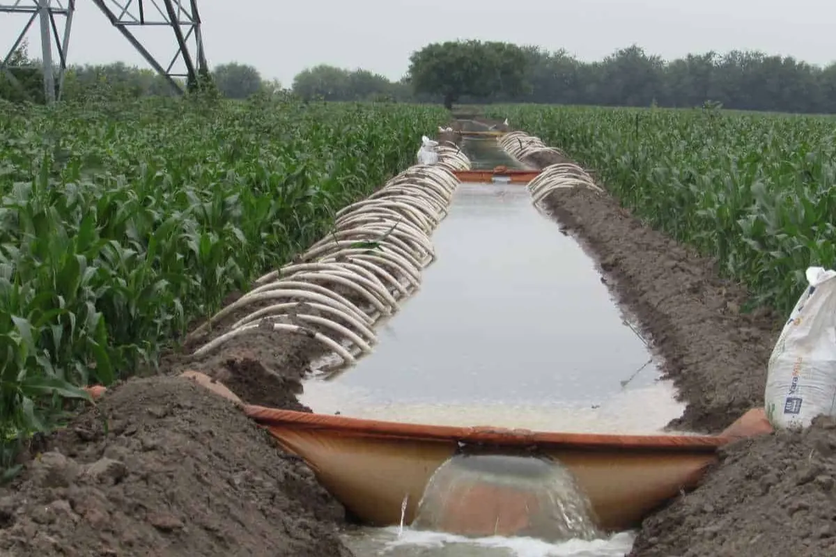El riego de la superficie de siempre en el norte de Tamaulipas en jaque por la falta de agua. Foto: Carlos García