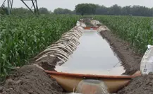 200 mil hectáreas dejarán de recibir riego por falta de agua en el norte de Tamaulipas 200 mil hectáreas dejarán de recibir riego por falta de agua en el norte de Tamaulipas