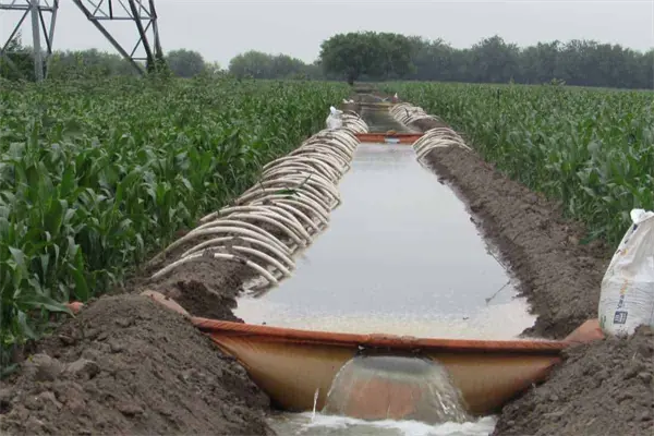 200 mil hectáreas dejarán de recibir riego por falta de agua en el norte de Tamaulipas 200 mil hectáreas dejarán de recibir riego por falta de agua en el norte de Tamaulipas