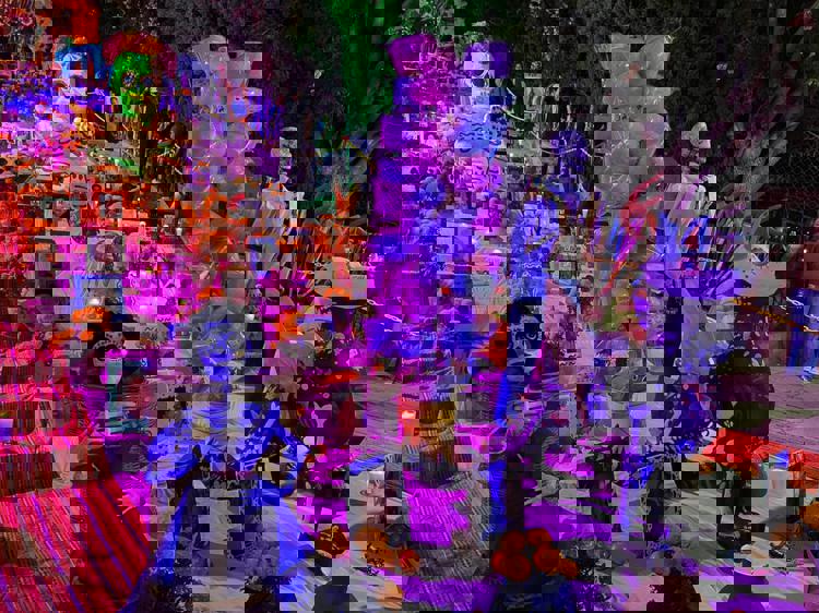 imagen-cuerpo imagen-cuerpo