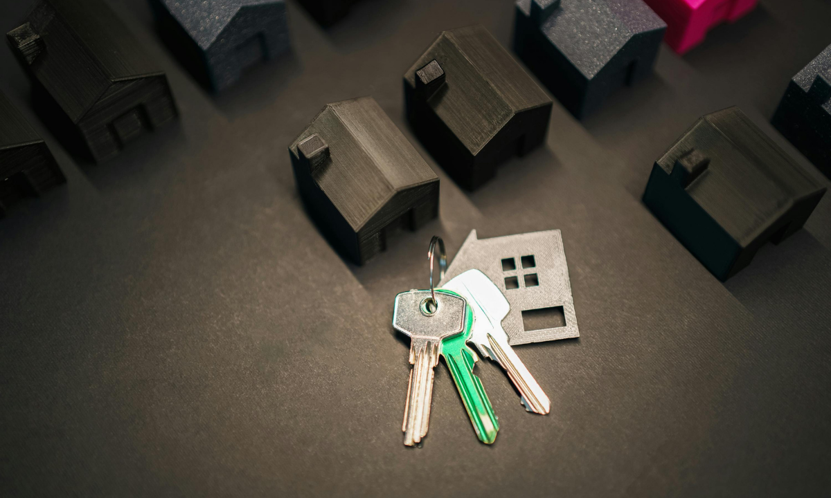 imagen-cuerpo imagen-cuerpo