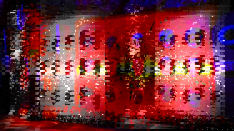 imagen-cuerpo imagen-cuerpo