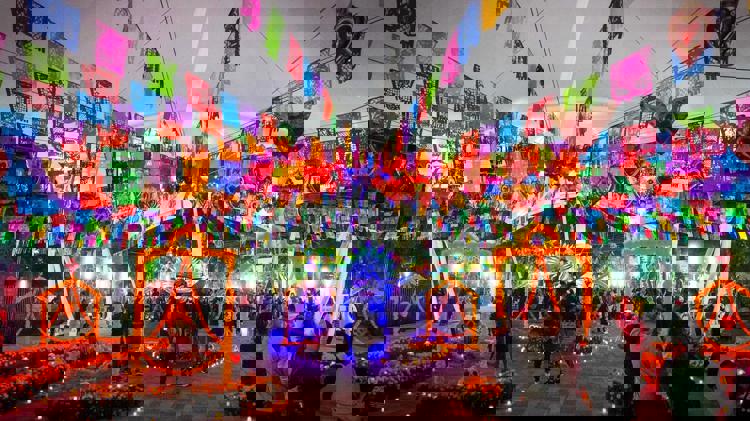 imagen-cuerpo imagen-cuerpo