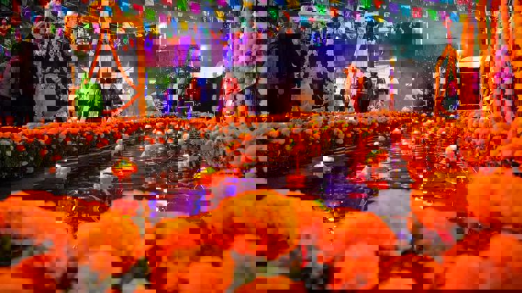 imagen-cuerpo imagen-cuerpo