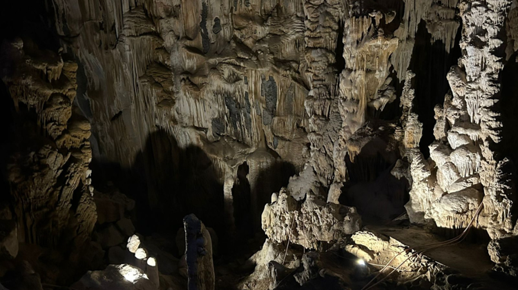 imagen-cuerpo imagen-cuerpo