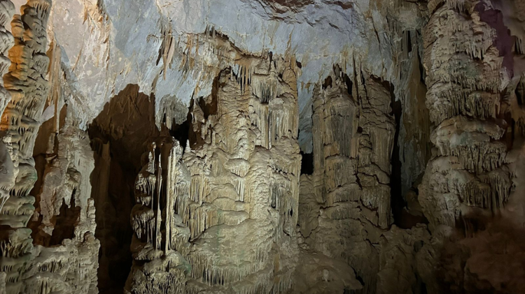 imagen-cuerpo imagen-cuerpo