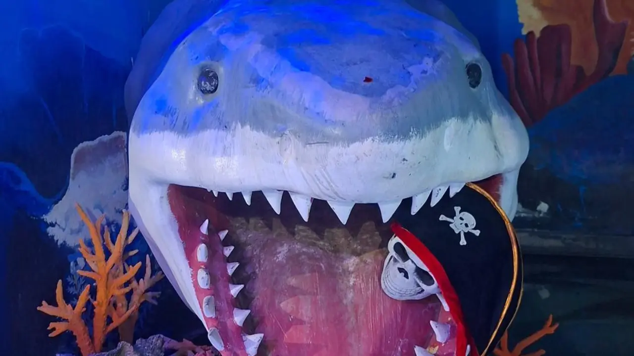 La entrada a aZoostate 2025 es completamente gratis | Foto: FB Zoológico y Acuario de Nuevo Laredo