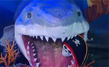 El Zoológico de Nuevo Laredo celebra Halloween con diversión para toda la familia El Zoológico de Nuevo Laredo celebra Halloween con diversión para toda la familia