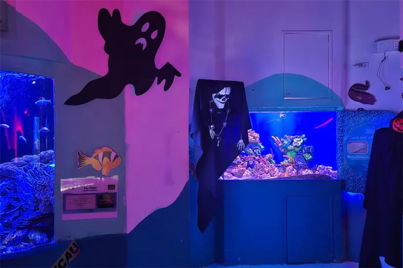 imagen recuadro La entrada es completamente gratis | Foto: Zoológico y Acuario de Nuevo Laredo