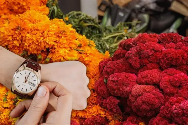 Días de Muertos en Mérida: mercados y cementerios operarán con horarios especiales Días de Muertos en Mérida: mercados y cementerios operarán con horarios especiales