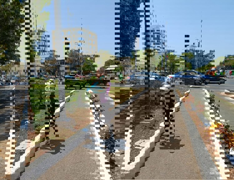 imagen-cuerpo imagen-cuerpo