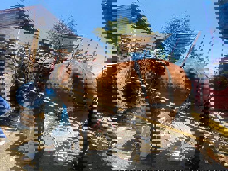 imagen-cuerpo imagen-cuerpo