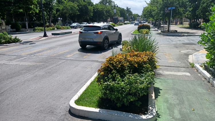 imagen-cuerpo imagen-cuerpo