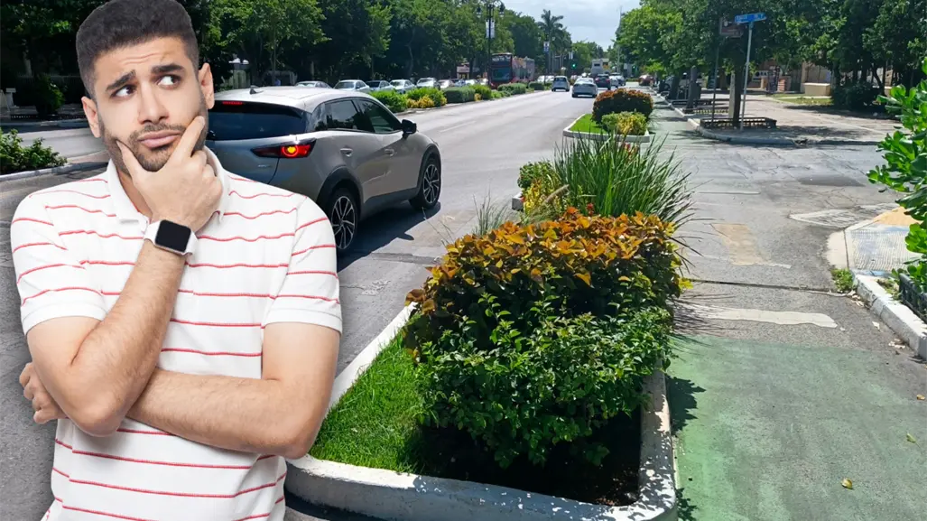 ¿Cuál es la utilidad de las jardineras de Paseo de Montejo en Mérida y por qué quieren retirarlas?