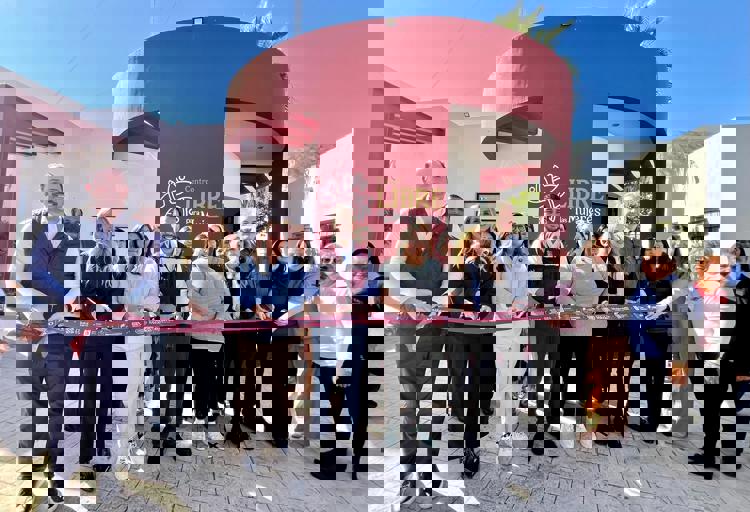 imagen-cuerpo imagen-cuerpo