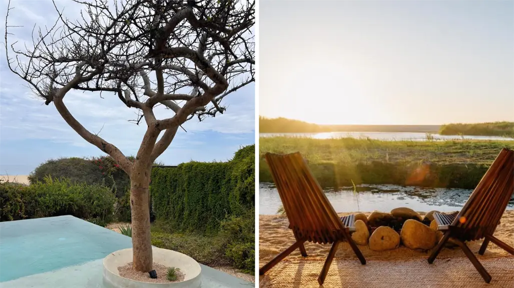 Los 3 mejores hoteles con vista al mar en el Pueblo Mágico de Todos Santos, según Booking