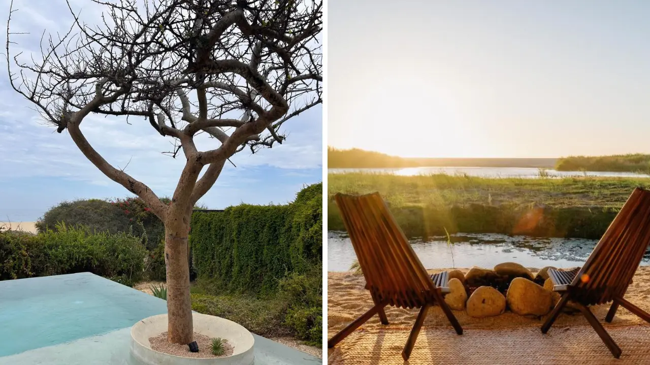 Foto: Ivette Pérez / POSTA Baja California Sur | Booking.