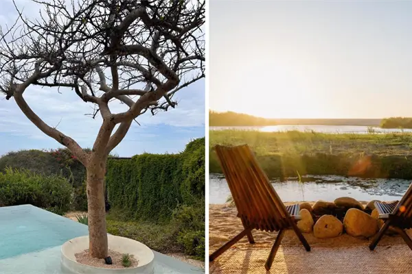 Los 3 mejores hoteles con vista al mar en el Pueblo Mágico de Todos Santos, según Booking Los 3 mejores hoteles con vista al mar en el Pueblo Mágico de Todos Santos, según Booking